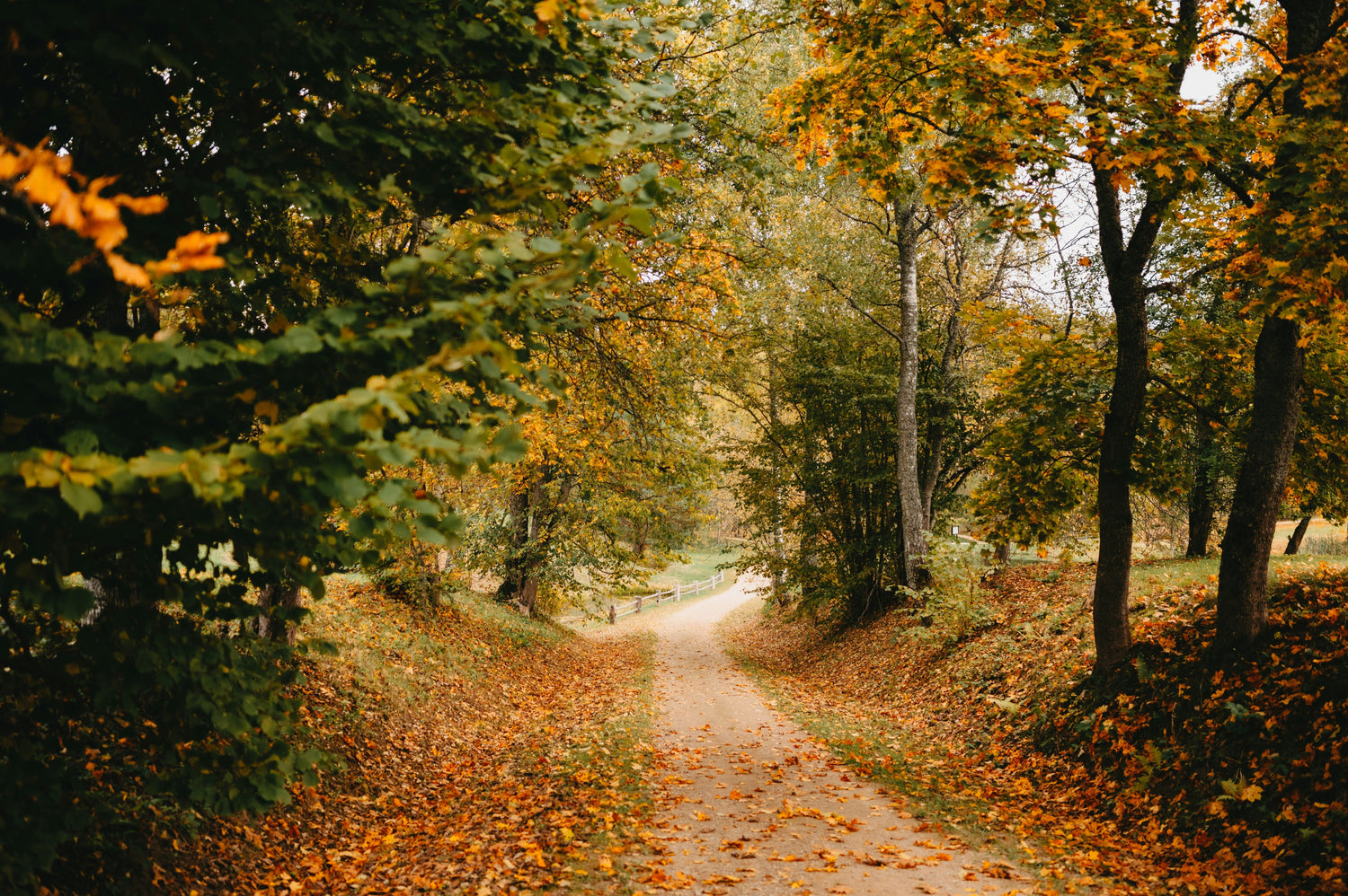 A Culture of Crunch, why we follow the seasons - Crunch Culture