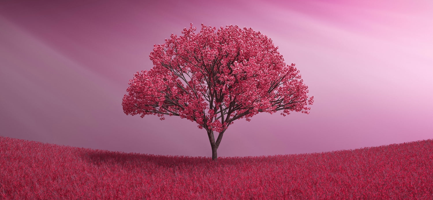 What we look for in a Spring mix - Crunch Culture